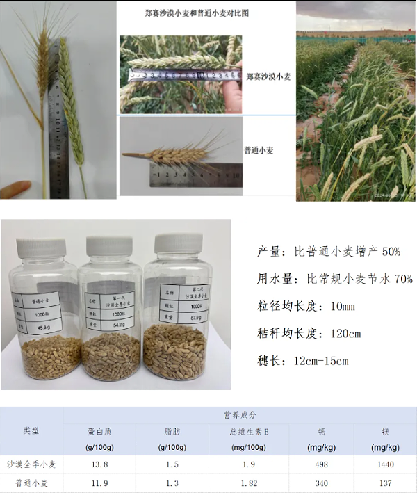 微信图片_20240914155813 微信图片_20240914155813