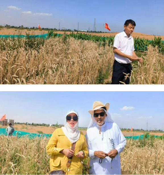 微信图片_20240914155806 微信图片_20240914155806