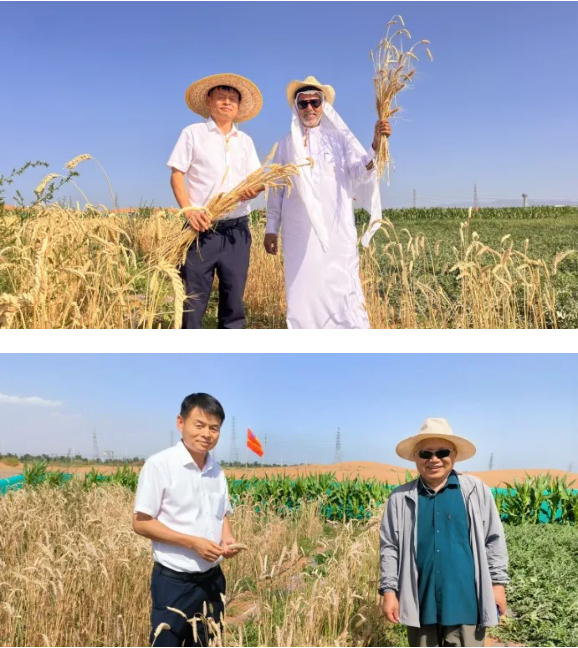 微信图片_20240914155809 微信图片_20240914155809