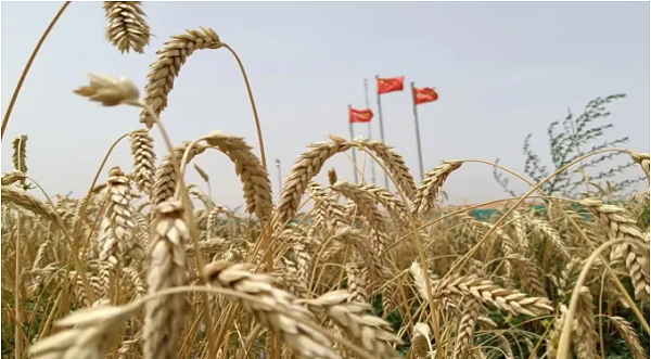 微信图片_20240914155732 微信图片_20240914155732