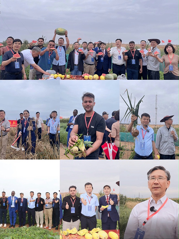 图片9.jpg