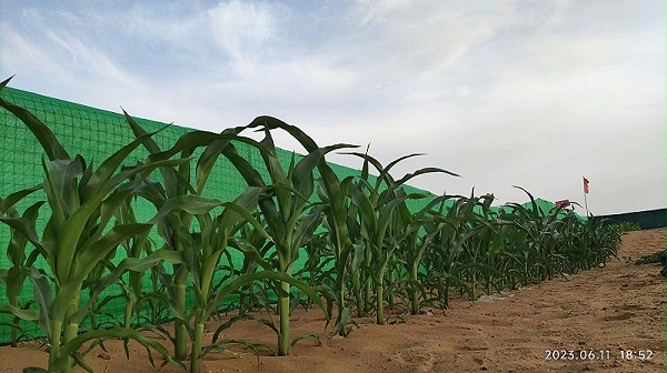 微信图片_20230904085050 微信图片_20230904085050