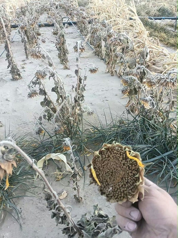 微信图片_2026-02-04_100710_801