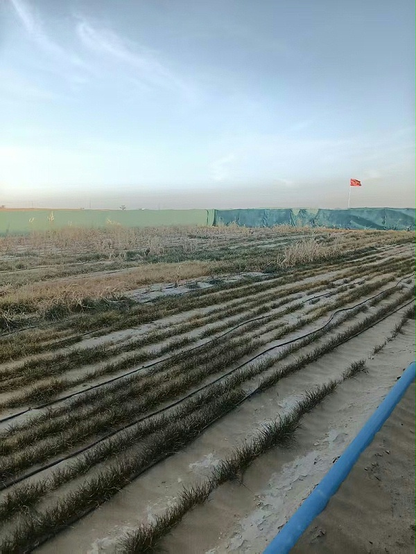 微信图片_2026-02-04_100715_411