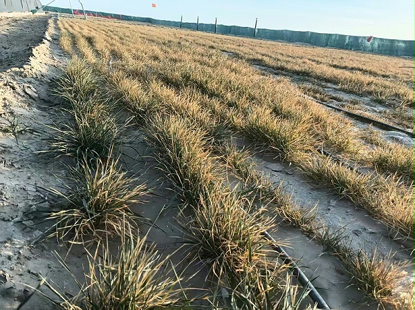 微信图片_2026-02-04_100648_938