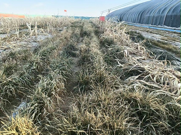 微信图片_2026-02-04_100701_810