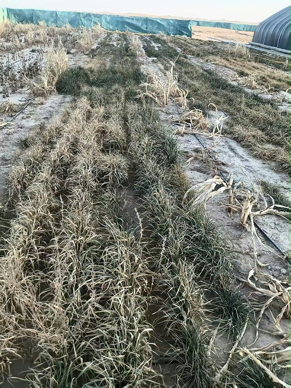 微信图片_2026-02-04_100706_337