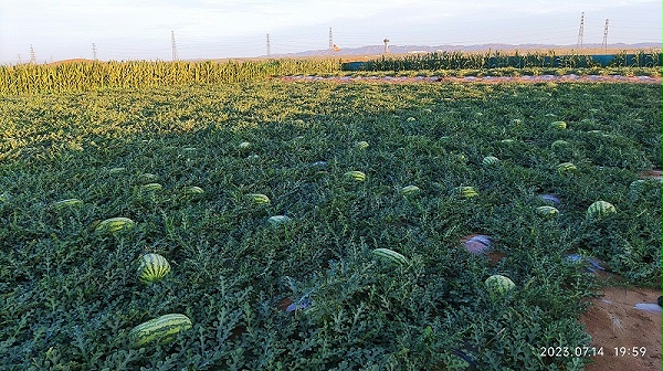 微信图片_20230715141456 微信图片_20230715141456