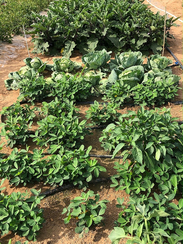 44d76de2a7c2f0631b020bf2184371bc 44d76de2a7c2f0631b020bf2184371bc