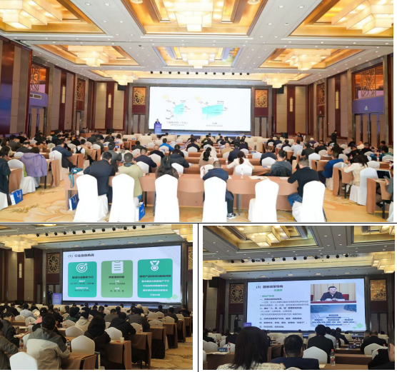 微信图片_20251115093404_117_2