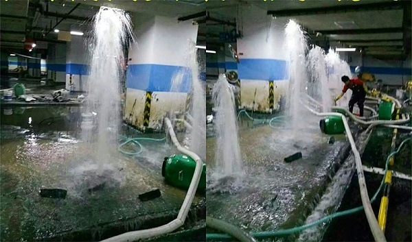 郑赛修护,助理我的创业梦 郑赛修护,助理我的创业梦