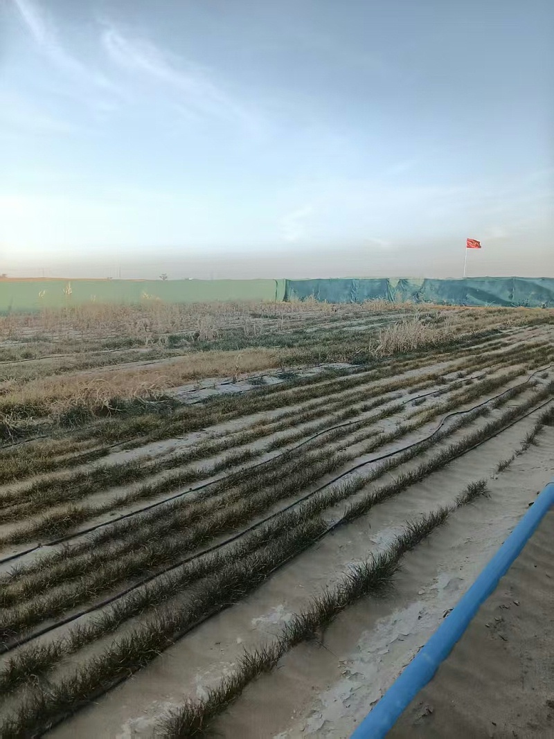 微信图片_2026-02-04_100715_411