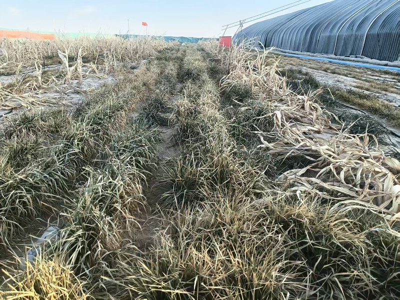 微信图片_2026-02-04_100701_810