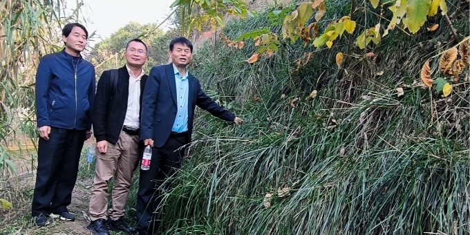 郑赛冗余韧性生态边坡技术得到认可