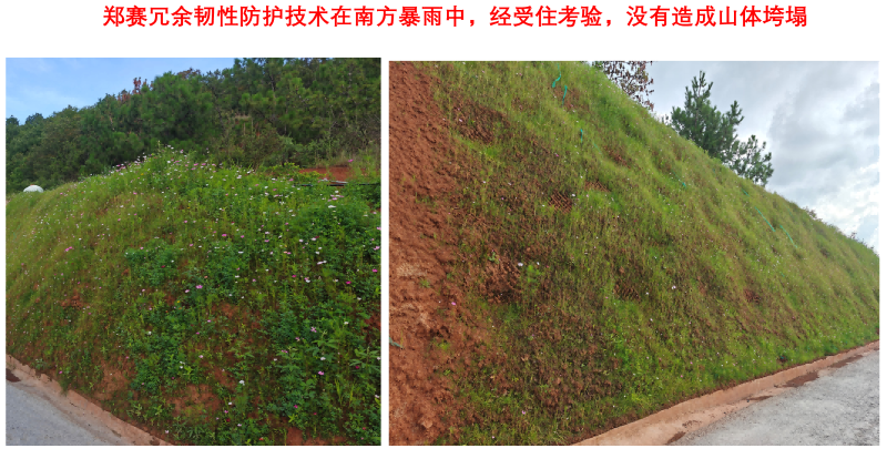 image4(1)